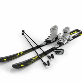 Snow Ski Poles Goggles Equipment 3d model