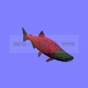 Saumon rouge des animaux marins modèle 3D