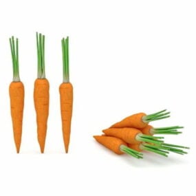 Some Raw Carrot Vegetables 3d model