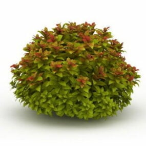 Model 3D rośliny ogrodowej Spiraea Japonica