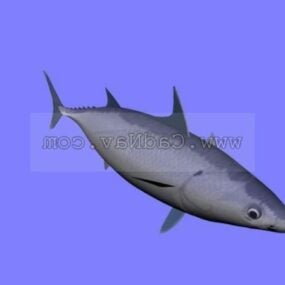 Splitfin Flashlightfish 동물 3d 모델