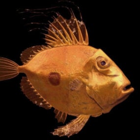 3д модель анимированной африканской рыбы-цихлиды