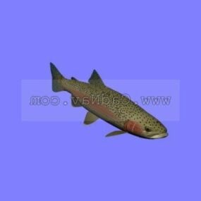 Sea Animal Steelhead Fish 3d model