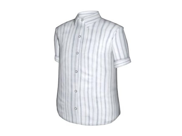 White Striped Dress Shirt Clothing