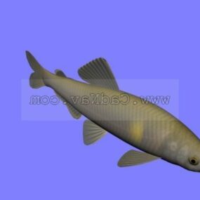 Modello 3d del pesce angelo marino