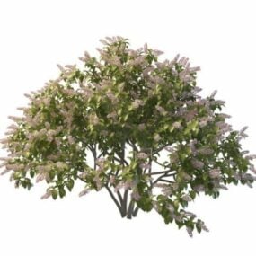 シリンガ植物の木の3Dモデル