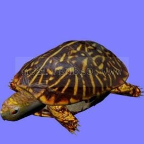 Animal marin tortue modèle 3D