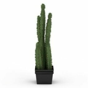 Pottede kaktus indendørs planter 3d-model