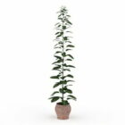 Outdoor Tall Potted Plants