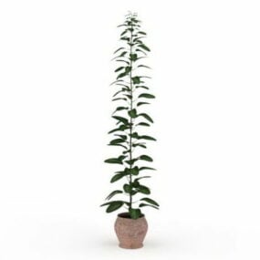 Plantas altas en macetas al aire libre modelo 3d