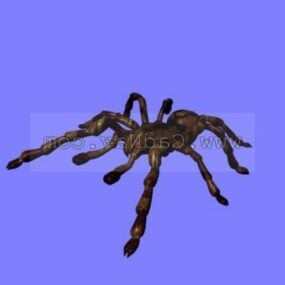 Model 3D zwierzęcia tarantuli