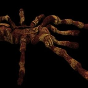 Modello 3d del ragno tarantola animale
