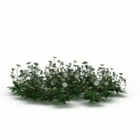 Taraxacum Officinale Green Garden 3d model