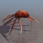 Animal Terrestrial Crab