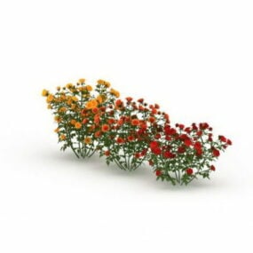 Tre farver af rosenbuske plante 3d-model