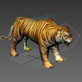 Άγρια Τίγρη Rigged μοντέλο 3d