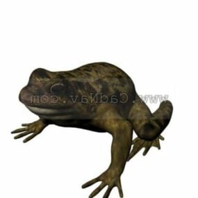 Jumping Frog Rigged 3d model