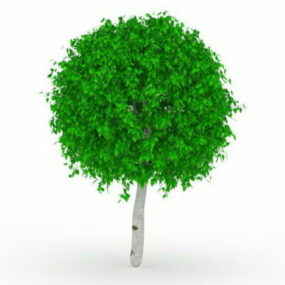Model 3D drzewa kulkowego ogrodowego topiary