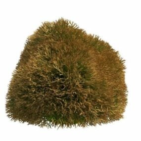 Modello 3d di erba topiaria da giardino