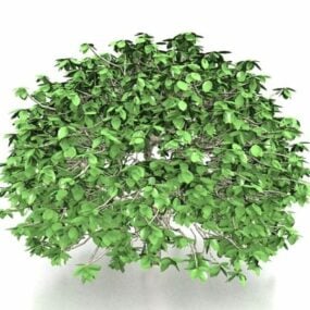 Ogrodowe zielone drzewa topiary Model 3D