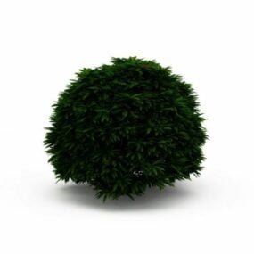 Topiary Trimmad Bush Garden 3d-modell