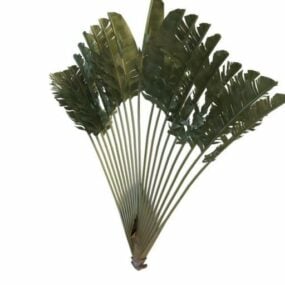 Hagereisende Palm Tree 3d-modell