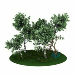 Garden Tree Grass 3d model