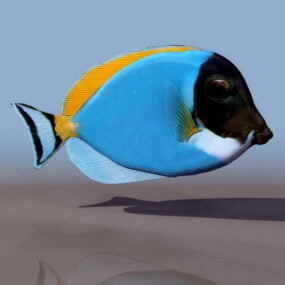 نموذج ثلاثي الأبعاد للأسماك الاستوائية الحيوانية