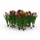 Jardim Tulipa Planta Flor