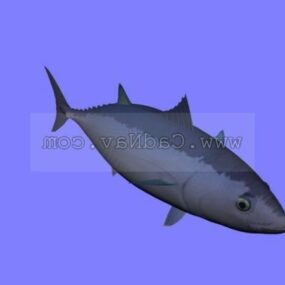 نموذج سمكة التونة الحيوانية ثلاثي الأبعاد