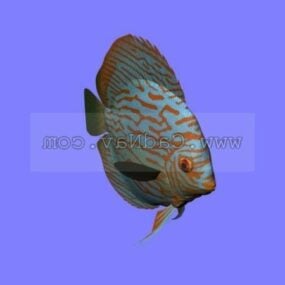 動物のターコイズディスカスの魚3Dモデル