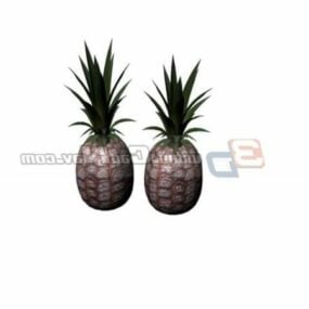 İki Ananas Meyvesi 3d modeli