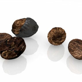 Model 3d Nature Walnut Nut
