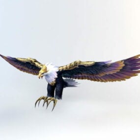 Wild War Eagle 3d model