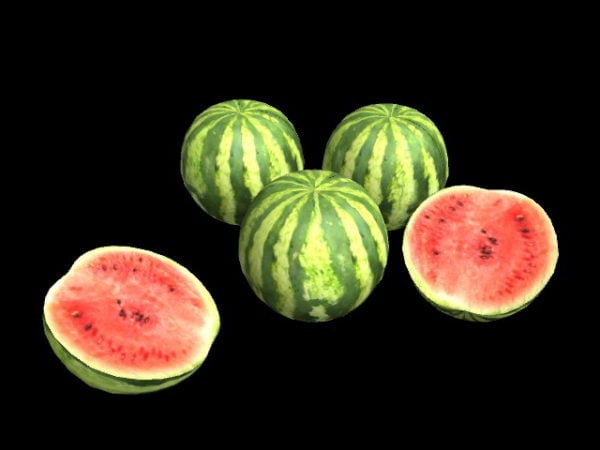 Realistisk vannmelon sommerfrukt