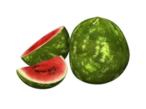 Frukt vannmelonskive