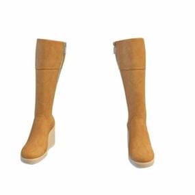 Fashion Wedge Heeled Knee High Boots 3d model