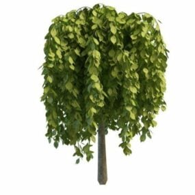 Tuin huilende groenblijvende bomen 3D-model