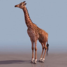 Giraffe Rigged Animated 3d model