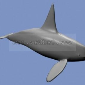 Modello 3d della balena animale marino