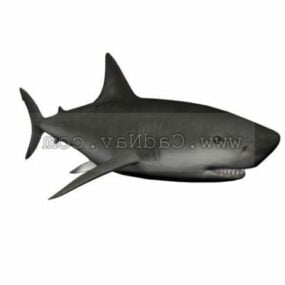 Sailor Ship With Shark Attack 3d model