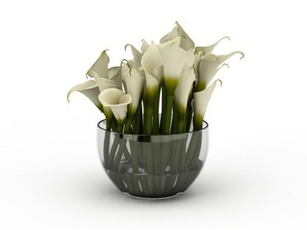Flower Calla Lily Vase