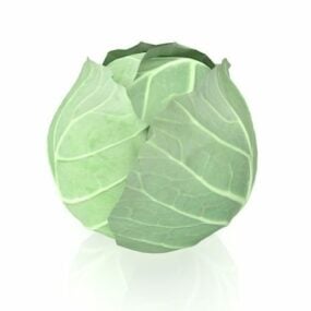 White Cabbage Vegetable 3d model
