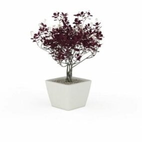 Fioriera in ceramica domestica con piante viola modello 3d