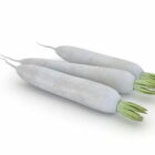 White Radish Root Vegetable