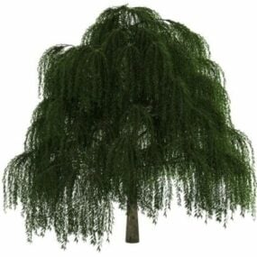Willow Tree Summer Plant 3d-modell
