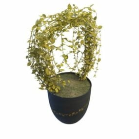 3д модель садового зимнего растения жасминовой лозы