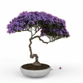 Pianta dell'albero bonsai di glicine Modello 3d