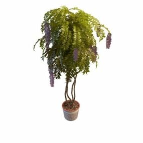 Indoor Wisteria Potted Plants 3d model