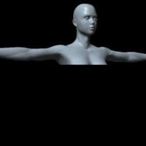 Vrouw lichaam basis Mesh karakter 3D-model